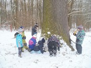 Výprava do zimního lesa